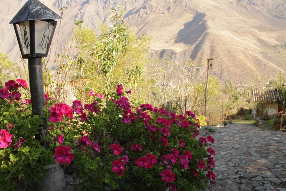 Ollantaytambo Village Image 20